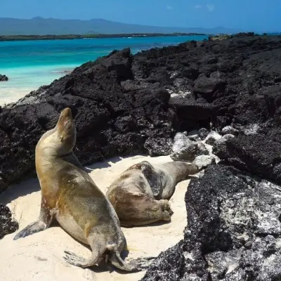 GalΓ‘pagos Islands