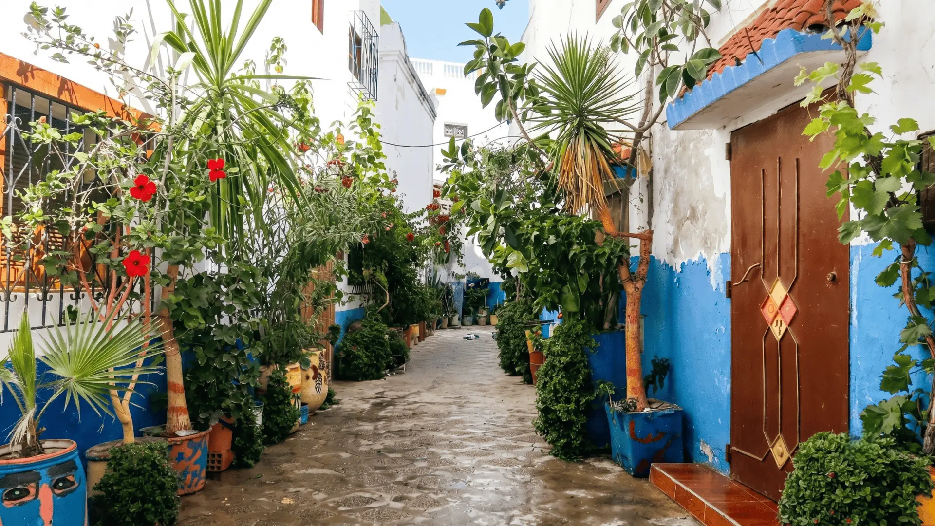 Picturesque Alley in Asilah Old Town Charming narrow alley with white and blue walls in Asilah medina