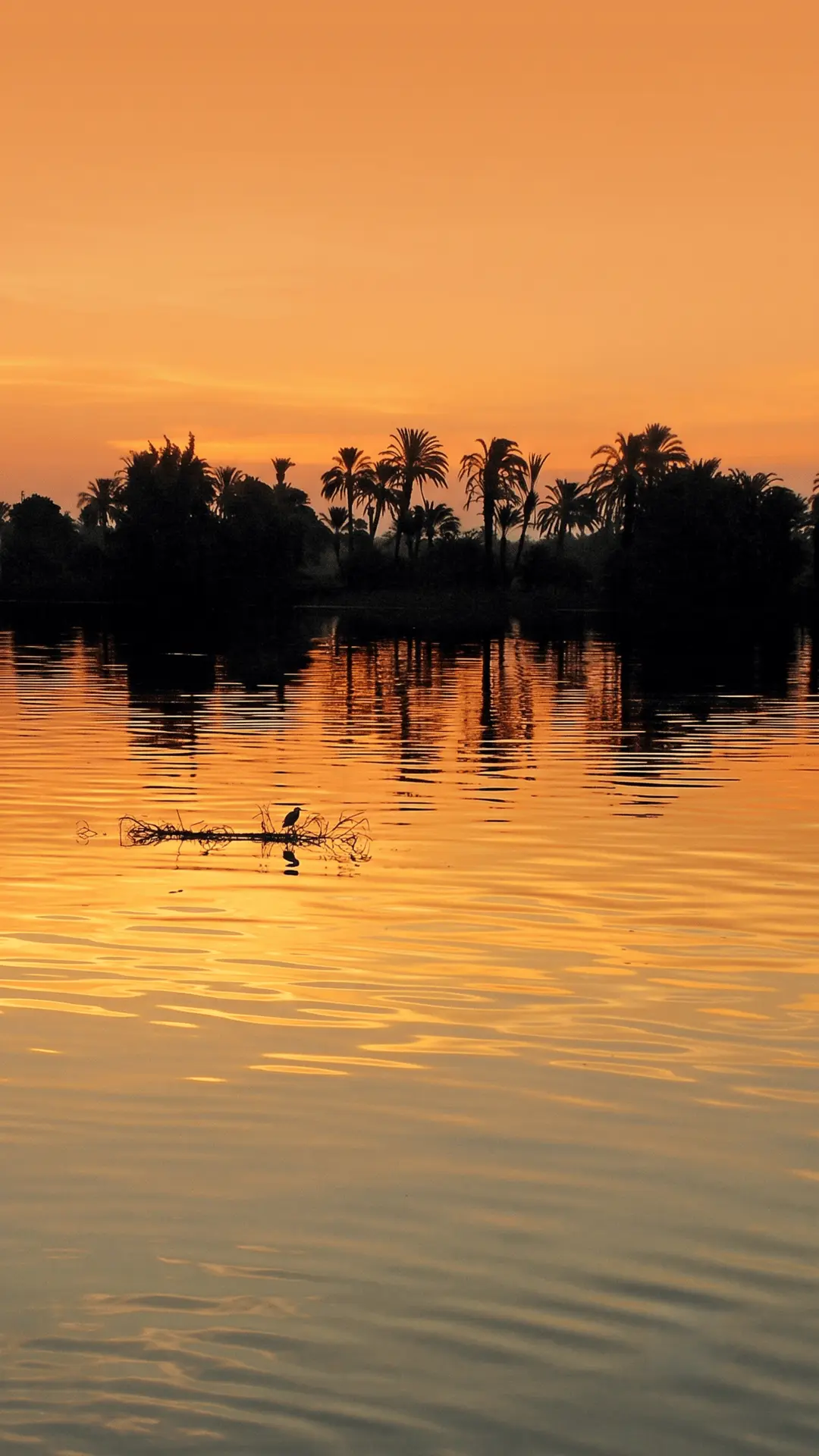 Stunning sunrise view of the Nile River from the deck of a dahabiya at dawn in Egypt Dawn Nile View from Dahabiya | Magical Sunrise Cruise Egypt
